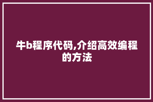 牛b程序代码,介绍高效编程的方法 智能写作