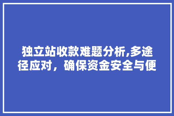 独立站收款难题分析,多途径应对，确保资金安全与便捷 文字写作
