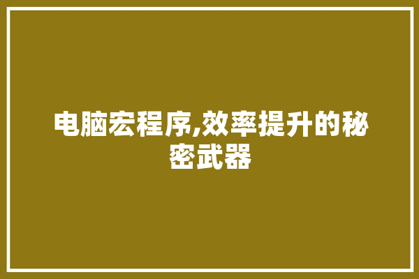 电脑宏程序,效率提升的秘密武器 计算机