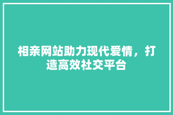 相亲网站助力现代爱情，打造高效社交平台