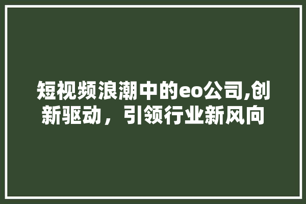 短视频浪潮中的eo公司,创新驱动，引领行业新风向 文字写作