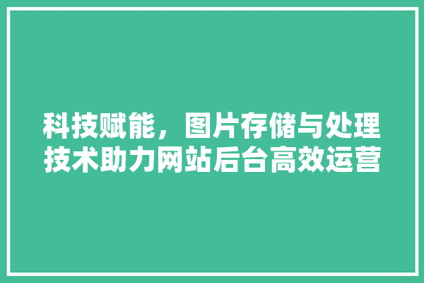 科技赋能，图片存储与处理技术助力网站后台高效运营 文字写作