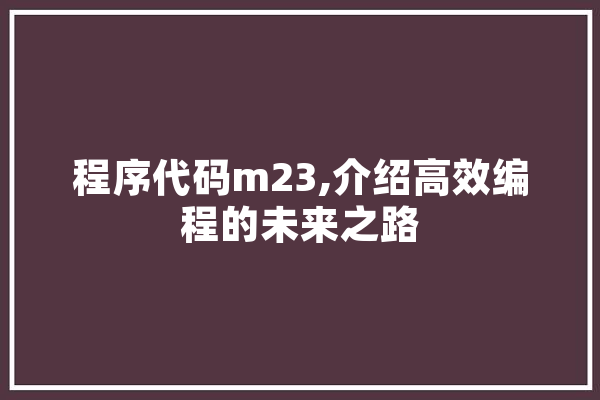 程序代码m23,介绍高效编程的未来之路 绘影字幕