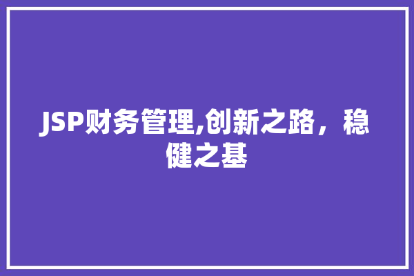 JSP财务管理,创新之路，稳健之基
