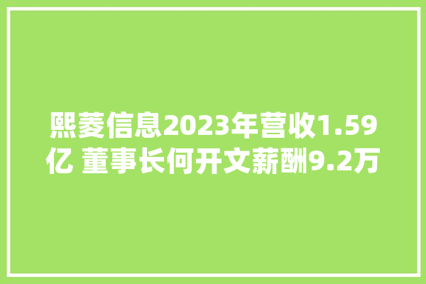 熙菱信息2023年营收1.59亿 董事长何开文薪酬9.2万_万元_公司