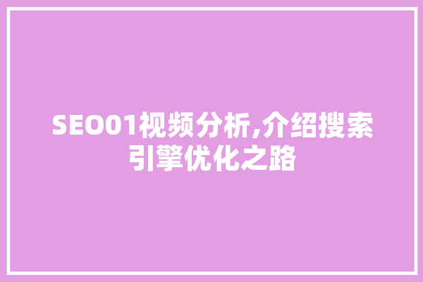 SEO01视频分析,介绍搜索引擎优化之路 科技快讯