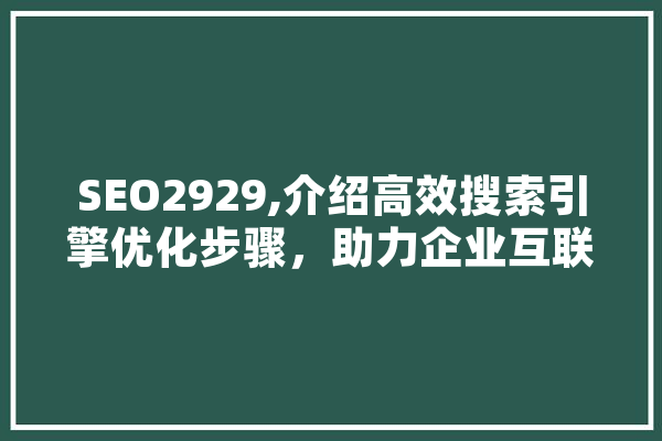 SEO2929,介绍高效搜索引擎优化步骤，助力企业互联网营销 文字写作