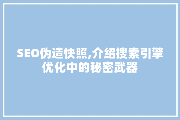 SEO伪造快照,介绍搜索引擎优化中的秘密武器