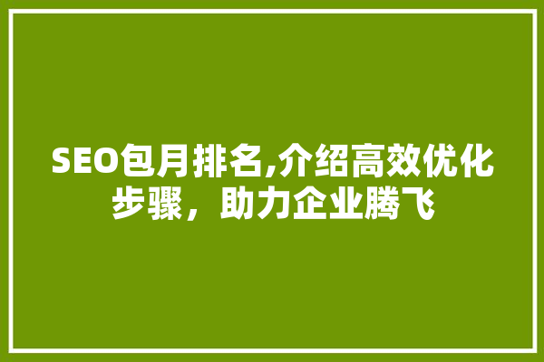 SEO包月排名,介绍高效优化步骤，助力企业腾飞