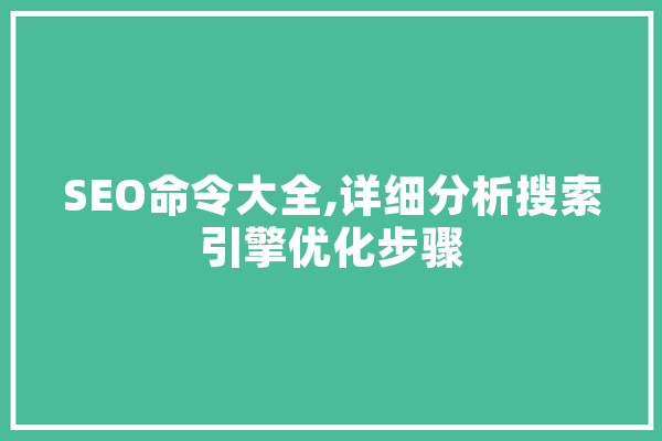 SEO命令大全,详细分析搜索引擎优化步骤 智能助手