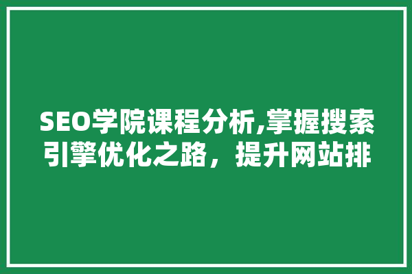 SEO学院课程分析,掌握搜索引擎优化之路，提升网站排名 云服务