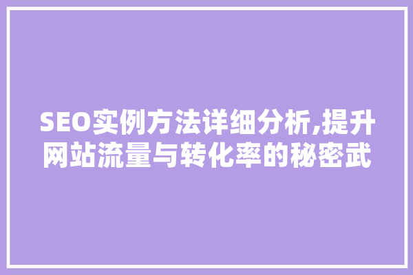 SEO实例方法详细分析,提升网站流量与转化率的秘密武器 云服务