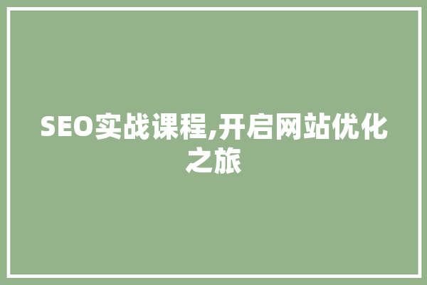 SEO实战课程,开启网站优化之旅