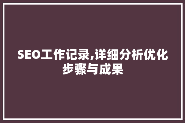 SEO工作记录,详细分析优化步骤与成果 AI简讯