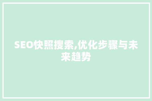 SEO快照搜索,优化步骤与未来趋势 计算机