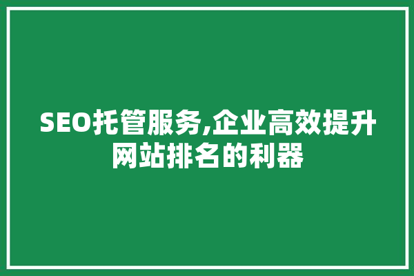 SEO托管服务,企业高效提升网站排名的利器 计算机