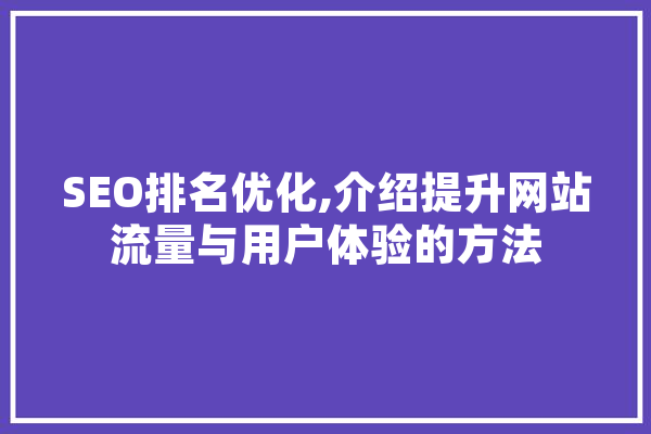 SEO排名优化,介绍提升网站流量与用户体验的方法 文字写作