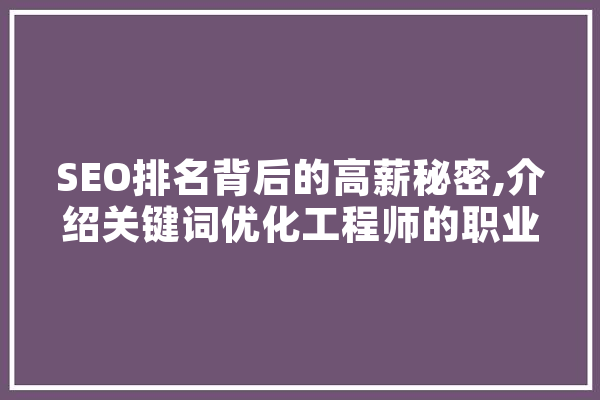 SEO排名背后的高薪秘密,介绍关键词优化工程师的职业价值 智能助手