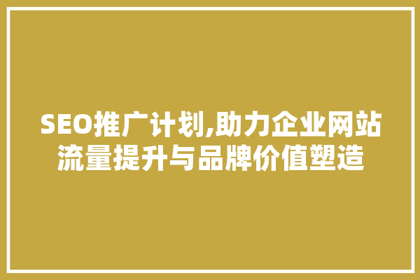SEO推广计划,助力企业网站流量提升与品牌价值塑造 云服务