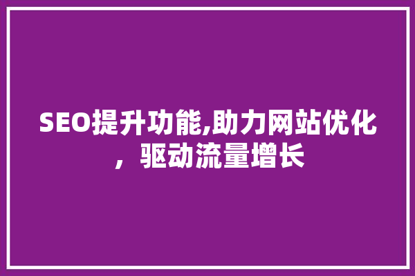 SEO提升功能,助力网站优化，驱动流量增长 绘影字幕