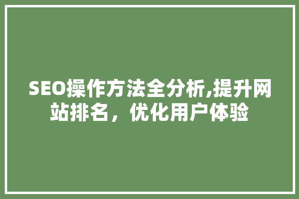 SEO操作方法全分析,提升网站排名，优化用户体验 AI简讯