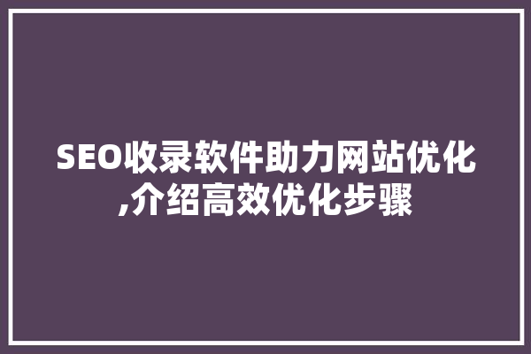 SEO收录软件助力网站优化,介绍高效优化步骤 智能写作