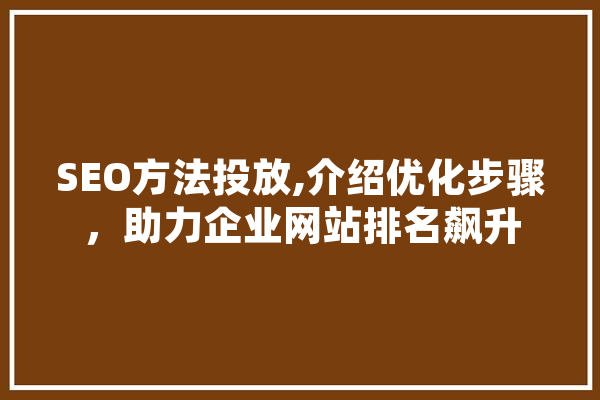 SEO方法投放,介绍优化步骤，助力企业网站排名飙升 云服务