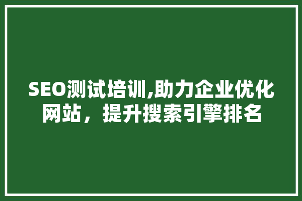 SEO测试培训,助力企业优化网站，提升搜索引擎排名 云服务