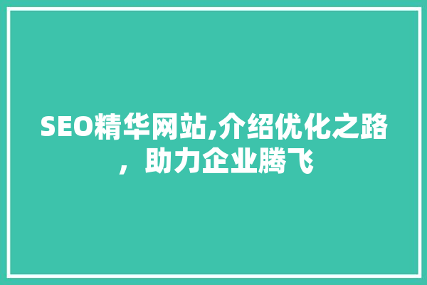 SEO精华网站,介绍优化之路，助力企业腾飞 AI快讯