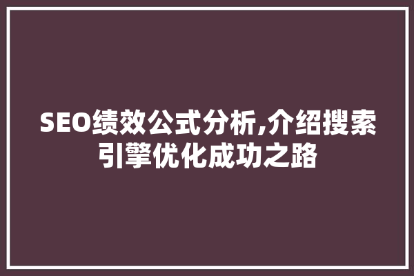 SEO绩效公式分析,介绍搜索引擎优化成功之路