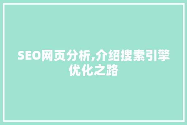 SEO网页分析,介绍搜索引擎优化之路