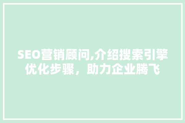 SEO营销顾问,介绍搜索引擎优化步骤，助力企业腾飞 AI简讯