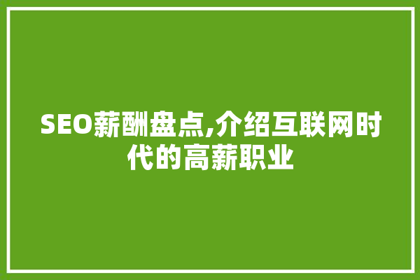 SEO薪酬盘点,介绍互联网时代的高薪职业