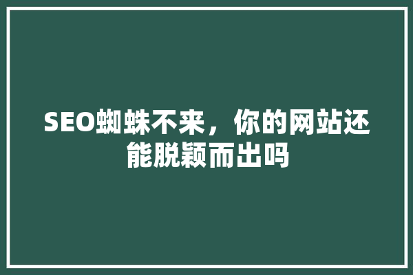 SEO蜘蛛不来，你的网站还能脱颖而出吗 智能写作