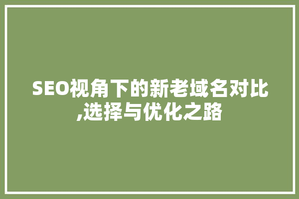 SEO视角下的新老域名对比,选择与优化之路 智能写作