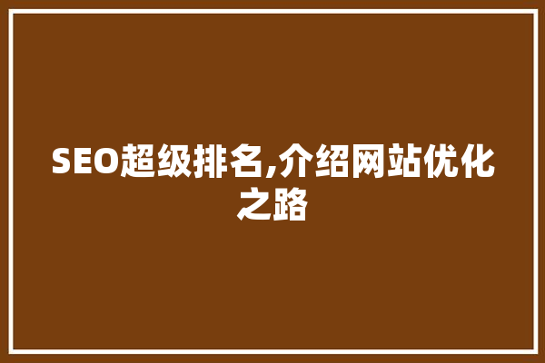 SEO超级排名,介绍网站优化之路 文字写作