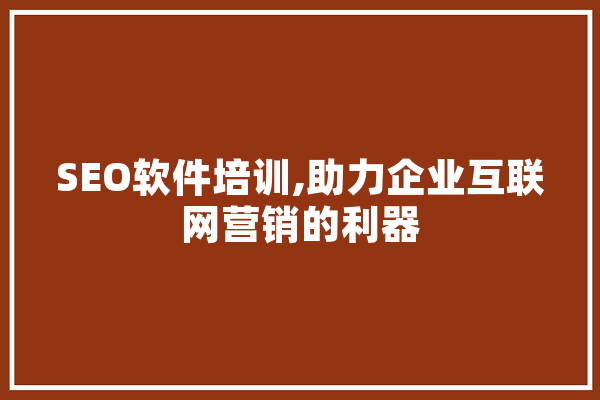 SEO软件培训,助力企业互联网营销的利器 云服务