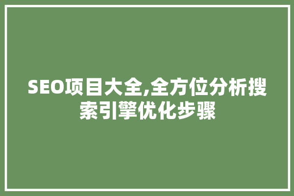 SEO项目大全,全方位分析搜索引擎优化步骤 文字写作