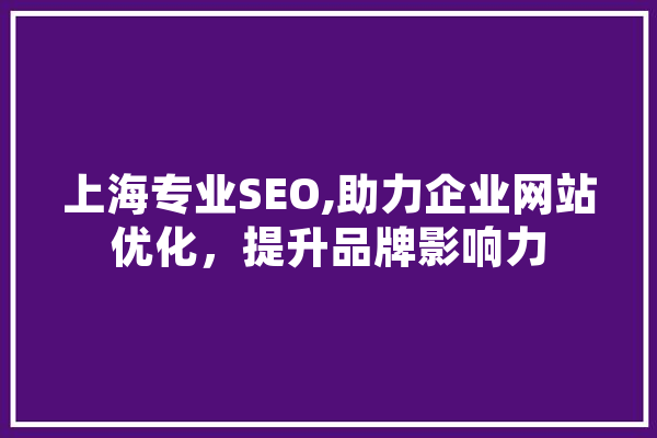 上海专业SEO,助力企业网站优化，提升品牌影响力 智能助手