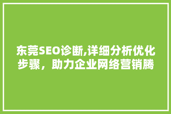东莞SEO诊断,详细分析优化步骤，助力企业网络营销腾飞 文字写作