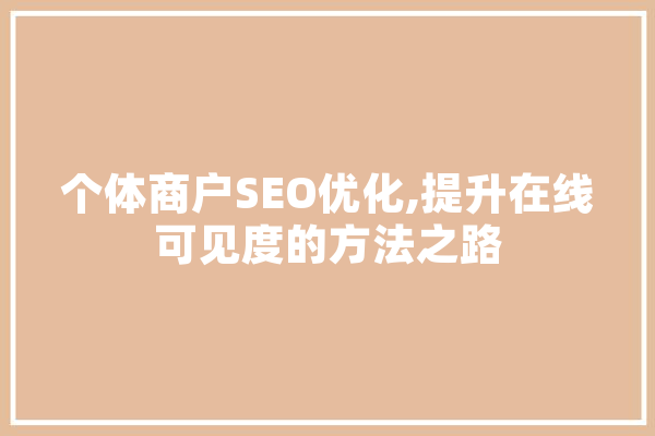 个体商户SEO优化,提升在线可见度的方法之路
