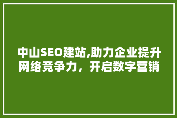 中山SEO建站,助力企业提升网络竞争力，开启数字营销新时代 云服务