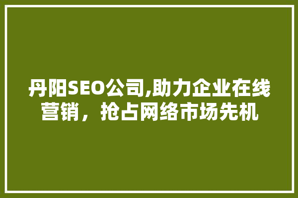 丹阳SEO公司,助力企业在线营销，抢占网络市场先机