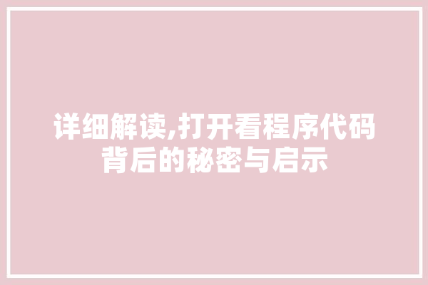 详细解读,打开看程序代码背后的秘密与启示 AI简讯
