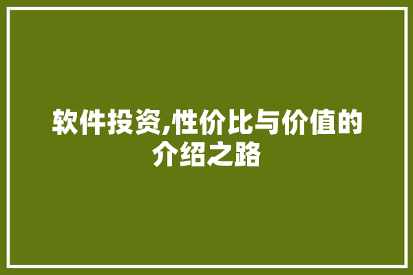 软件投资,性价比与价值的介绍之路 科技快讯