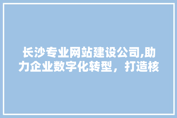 长沙专业网站建设公司,助力企业数字化转型，打造核心竞争力 智能助手