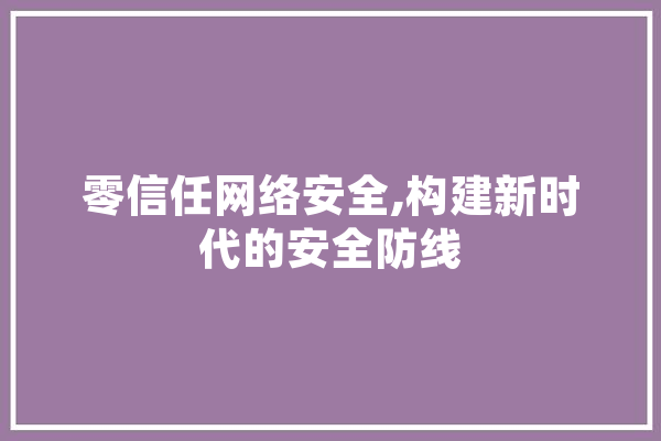 零信任网络安全,构建新时代的安全防线 文字写作