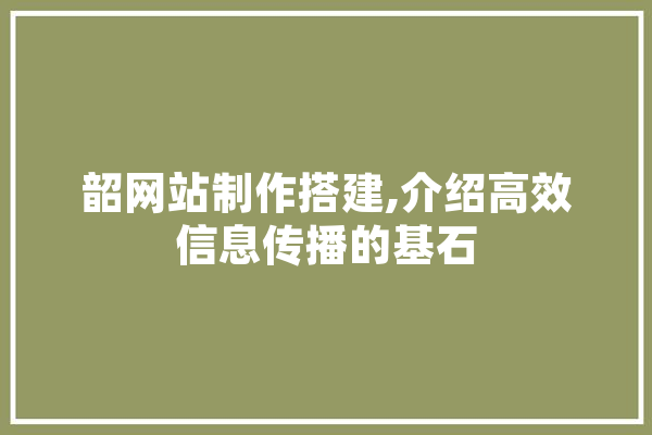 韶网站制作搭建,介绍高效信息传播的基石 计算机