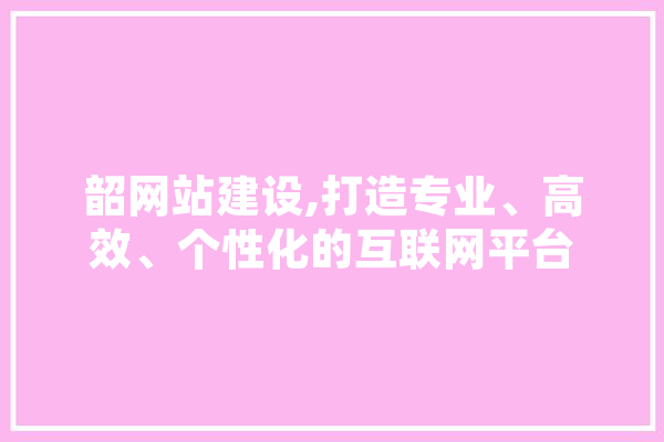 韶网站建设,打造专业、高效、个性化的互联网平台 AI简讯