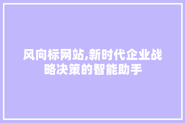 风向标网站,新时代企业战略决策的智能助手 计算机